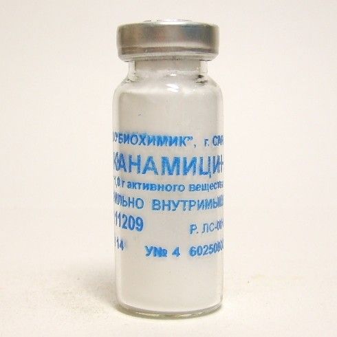фото упаковки Канамицина сульфат